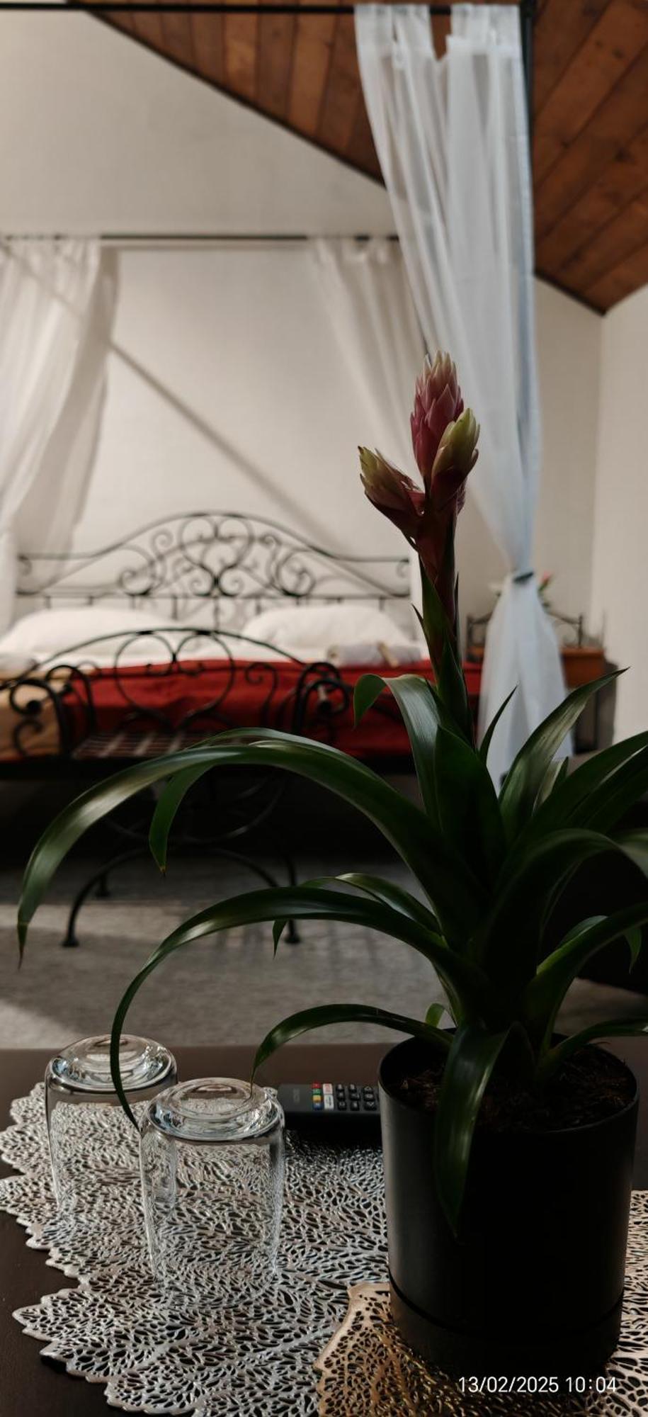 Hotel Plzensky Dvur Frýdek-Místek 外观 照片