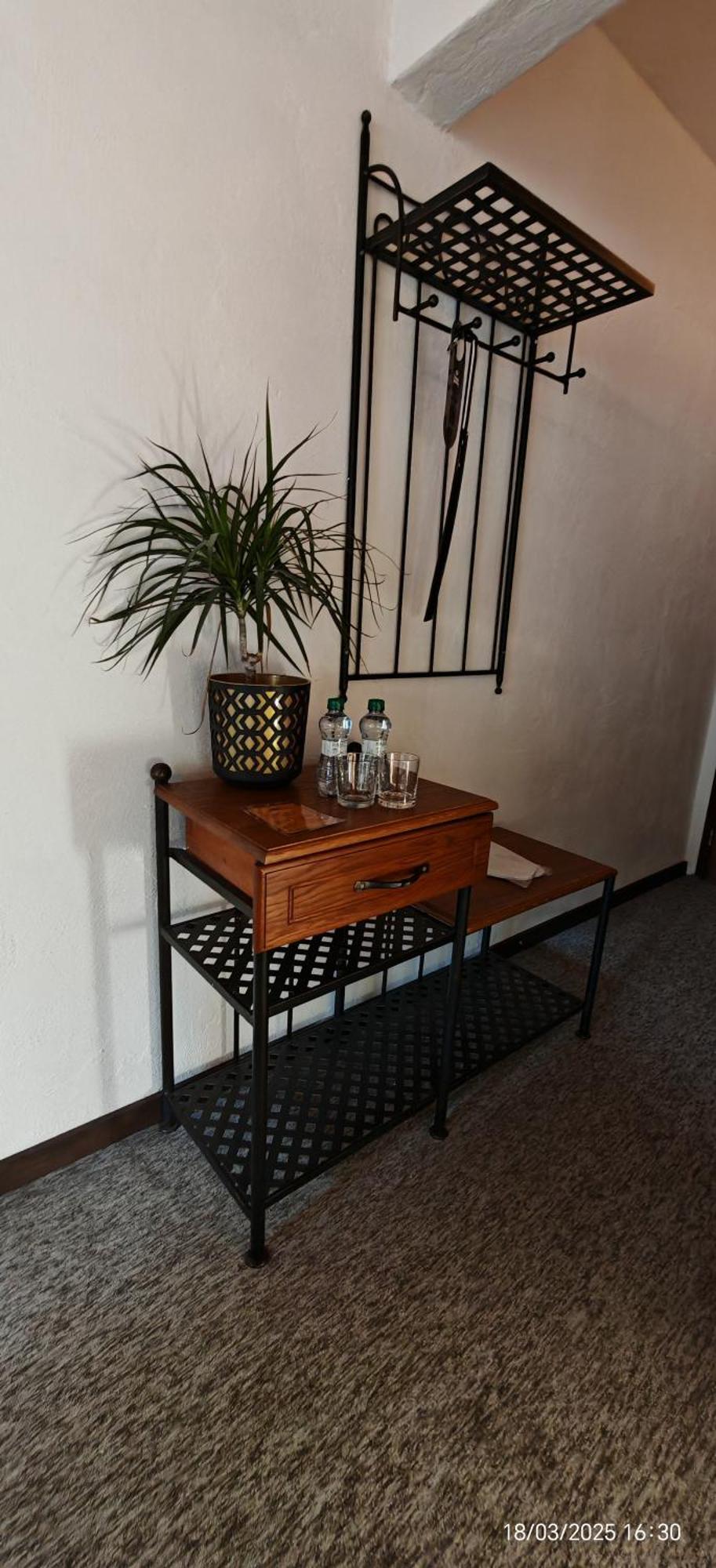 Hotel Plzensky Dvur Frýdek-Místek 外观 照片